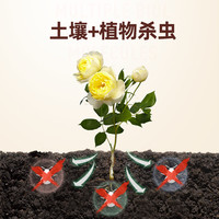 千百季领胜吡虫啉升级呋虫胺小白药植物杀虫剂白粉虱介壳虫