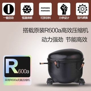 AUX 奥克斯 单门小型迷你酒柜透明玻璃门展示柜节能商用家用茶叶保鲜柜冷藏柜 48L冰吧 冷藏+微冷冻