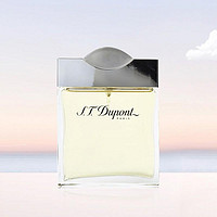 S.T.Dupont 都彭 ST DUPONT 都彭 同名男士香水 EDT 100ml