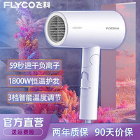 抖音超值购：FLYCO 飞科 电吹风机负离子护发家用大功率大风力速干发廊宿舍学生正品