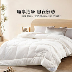 BLISS 百丽丝 新疆棉花春秋被  220*240cm