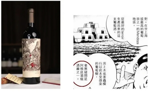 神之水滴推荐：Catena 卡帝娜 使徒 2020年份 马尔贝克 干红葡萄酒 750ml 单瓶装