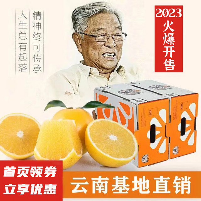 CHU’S AGRICULTURE 褚氏农业 花斑橙 10斤 一级果 礼盒装