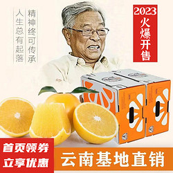 CHU’S AGRICULTURE 褚氏农业 花斑橙 10斤 一级果 礼盒装