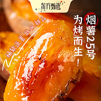 东方甄选烟薯25号 4.5斤装 软糯甜蜜无丝坏果包赔