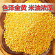 十月稻田 黄小米小米 五谷杂粮米1斤*2袋