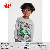 H&M童装男童T恤柔软简约休闲棉质带印花上衣1078511 混浅灰色/恐龙 110/56
