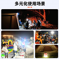 SHENYU 神鱼 太阳能充电灯泡夜市摆摊地摊灯家用停电应急照明移动超亮户外露营