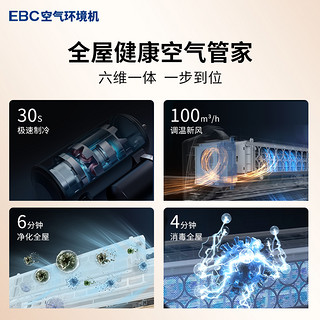 EBC 英宝纯空气环境机 卧室1.5匹挂机冷暖两用健康新风空调除甲醛