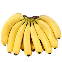 静益乐源 新鲜广西大香蕉  2.5kg