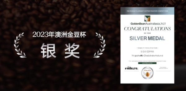 S.O.E COFFEE 八平方咖啡 埃塞俄比亚 耶加雪菲日晒SOE 意式单品中烘焙咖啡豆 250g