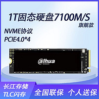 Dahua 大华 SSD固态硬盘M.2接口 PS5台式机电脑笔记本通用 C970 PLUS  1T