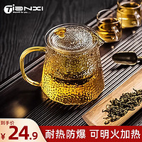 TiaNXI 天喜 茶壶玻璃泡茶壶耐热加厚茶具套装茶水分离泡茶器过滤内胆可拆卸 450ml单壶