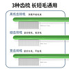 萌宠足迹 实木宠物排梳