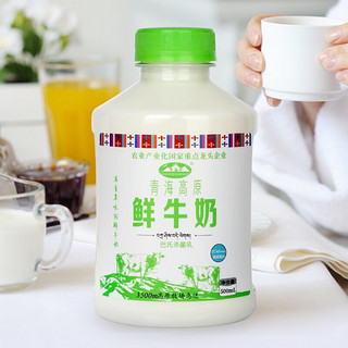 青海湖 青海高原鲜牛奶500ml*4瓶 鲜奶 低温奶 巴氏杀菌牛奶 100%生牛乳