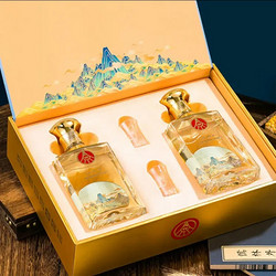 WULIANGYE 五粮液 52度浓香型 500ml*2瓶礼盒装