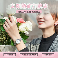 CASIO 卡西欧 SHEEN限量女表 SHS-D300