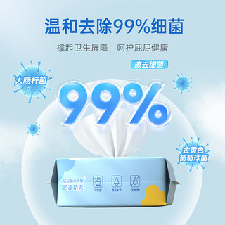 惠寻京东自有品牌 湿厕纸家庭装80片*8包（640片）温和杀菌 清洁湿纸