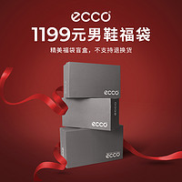 ecco 爱步 男鞋福袋899（每个福袋内含2双鞋）