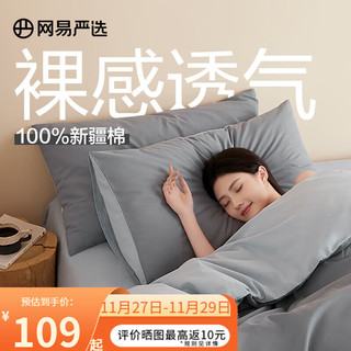 YANXUAN 网易严选 有氧纯棉四件套A类枕套床上 蓝酶芝士（蓝灰）100%全棉 1.8m床