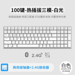 ROYAL KLUDGE RK100 客制化机械键盘无线2.4G