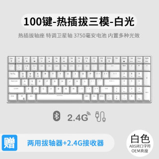 ROYAL KLUDGE RK100 客制化机械键盘无线2.4G