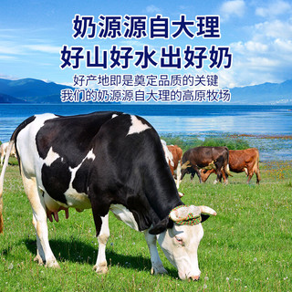 LESSON 来思尔 云南大理小酸奶180g*12瓶整箱牛奶乳品多口味可选营养早餐奶 冰淇淋香草味6瓶+原味6瓶