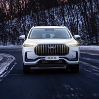 CHERY 奇瑞 瑞虎9 23款 2.0T 自动两驱豪华版5座