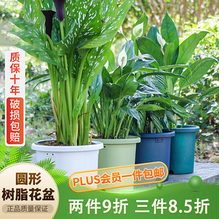 IRIS 爱丽思 花盆塑料圆形树脂多肉花盆种花种菜盆绿萝爱丽丝 蓝色口径26.6cm