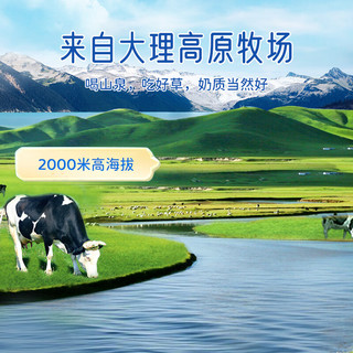  LESSON/来思尔 营养 全脂纯牛奶  盒装 20盒 256g
