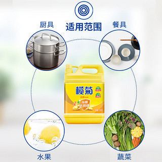 lanju 榄菊 洗洁精家庭装食用果蔬通用洗涤液温和厨房祛油污除菌洗洁精 生姜去腥3kg*1