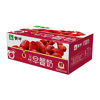 MENGNIU 蒙牛 早餐牛奶250ml*16盒红枣味成人早餐奶整箱盒装团购 红枣早餐奶250mL*16盒