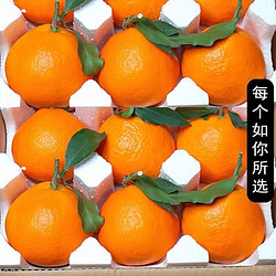 樱鲜 爱媛38号果冻橙 特大果约11粒 果径80-85mm 冰糖橙子爱媛橙