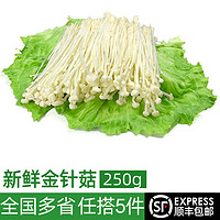 绿食者 金针菇250g 新鲜食用菌 凉拌烧烤蔬菜火锅素菜配菜麻辣烫食材