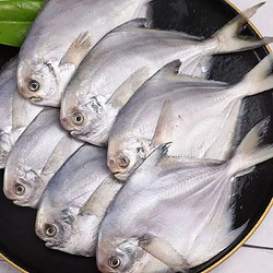MIN XIA 閩峽 深海捕撈新鮮冷凍白鯧魚1000g