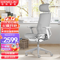 恒林 星云电脑椅人体工学椅家用久坐透气现代简约椅 HLC-600灰色