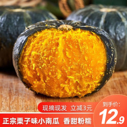 京农超 软糯香甜 贝贝南瓜  5斤 带箱