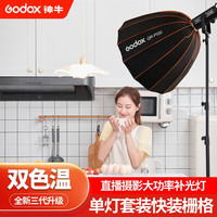 Godox/神牛 双色温补光灯+QR-P90快装深口栅格