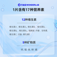 万益蓝WonderLab多种维生素矿物质片1g*60片*2盒