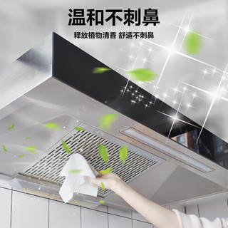 惠寻 厨房油污清洁剂500g*3去重油抽油烟机清洗剂去油污净