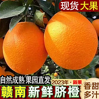 二龙嶂 新鲜现摘江西赣南脐橙 10斤 果径75-90mm