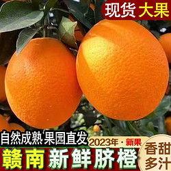 二龙嶂 新鲜现摘江西赣南脐橙 10斤 果径75-90mm