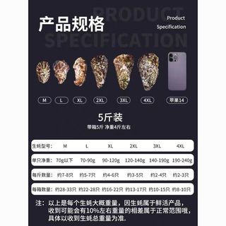 蜀皇 乳山生蚝 4XL5斤