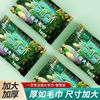 压缩毛巾浴巾加厚加大旅行装一次性纯棉洗脸巾便携旅游用品10