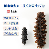 海盛和淡干海参大连辽参海叁干海参干货6只速发后即食非海鲜礼盒