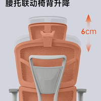 泉琪人体工学椅家用可躺办公椅学习护腰电竞椅舒适久坐电脑椅