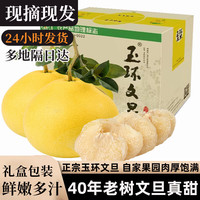 御香梅 玉环大文旦柚子浙江台州楚门新鲜水果文旦柚子当季白心时令 柚子 5斤超值性价比