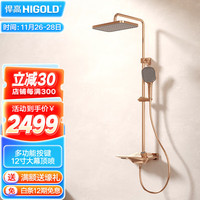 悍高(HIGOLD)淋浴花洒套装置物花洒多模式出水家用沐浴手持花洒浴室淋浴顶喷头 B1系列三功能淋浴套装(玫瑰金色)