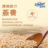 St Hubert 圣悠活 低脂大红袍燕麦奶轻乳茶饮料240g*12瓶早餐奶