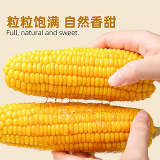 昔日印象 黄玉米即食甜糯玉米棒玉米粒水果玉米低脂真空粘玉米220g*8根